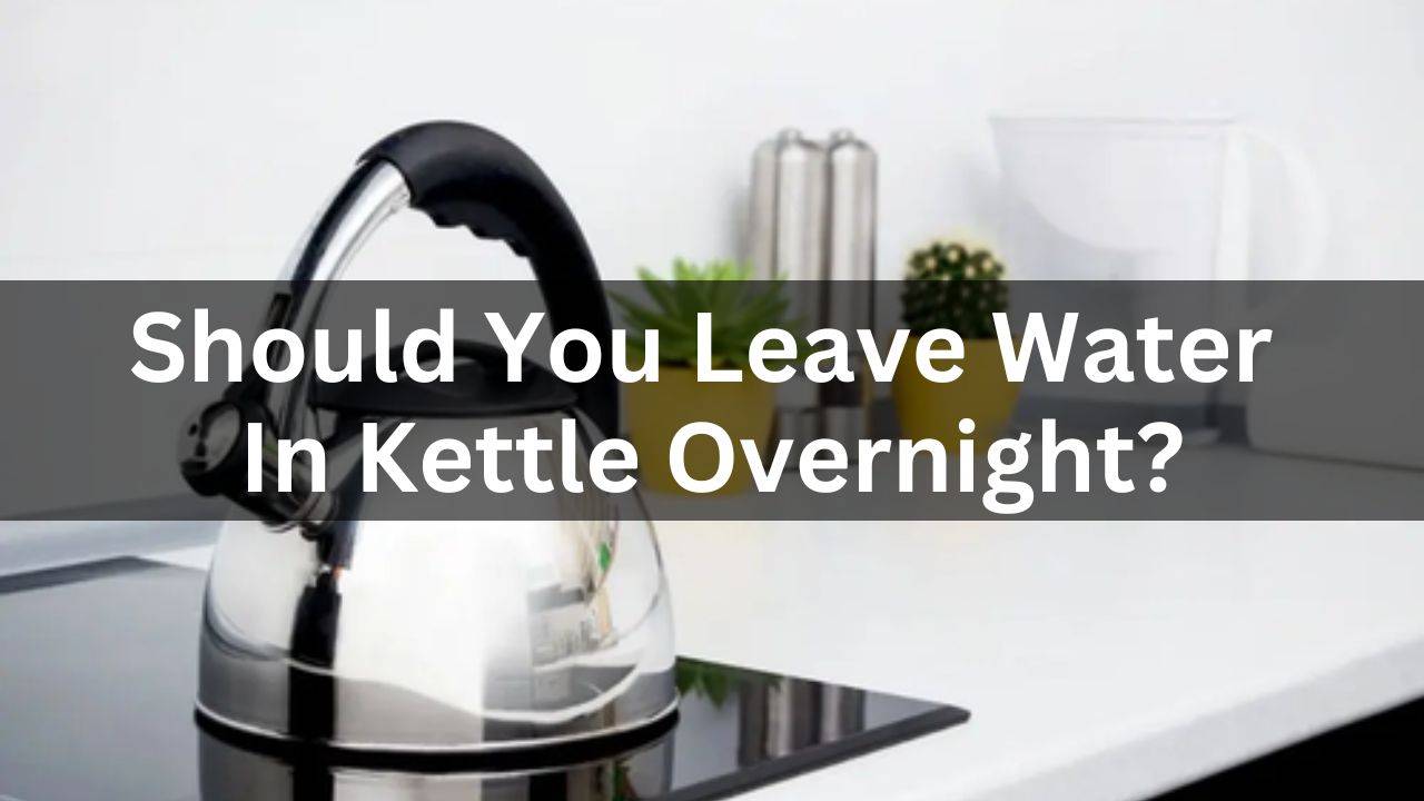 Should You Leave Water In A Kettle Overnight